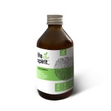 Süngomba teljes spektrumát tartalmazó folyékony kivonat 250 ml - Life Spirit