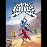 Supertype ARENA GODS (PC - Steam elektronikus játék licensz)