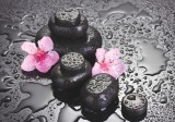 Sverus Fotótapéta Spa Stones with Drops and Pink Sakura Flowers, 400 x 260 cm