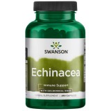 Swanson Echinacea (100 kap.)