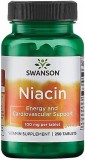 Swanson Niacin 100mg 250 tabletta