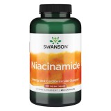 Swanson Niacinamide (250 kap.)