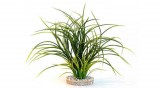 Sydeco Fan Grass műnövény 30 cm