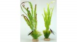 Sydeco Sea Plant  műnövény 40 cm