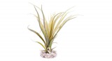 Sydeco Tillandsia Fan műnövény 22 cm