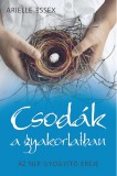 Synergie Publishing Arielle Essex: Csodák a gyakorlatban - könyv