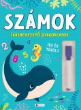 Számok - Írásbevezető gyakorlatok