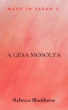 Szász Terézia Rebecca Blackhorse: A gésa mosolya - könyv