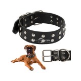 Szegecses kutya nyakörv öko bőr állítható méretben