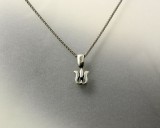 SZÉKELY TULIPÁN MEDÁL