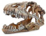 Szer-Ber Dinoszaurusz koponya akvárium dekoráció (17 x 8 x 9 cm)