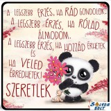 Szerelmes hűtőmágnes, A legszebb érzés, panda maci, szeretlek