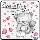 Szerelmes hűtőmágnes, maci ír, szeretlek