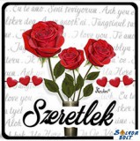 Szerelmes hűtőmágnes, szeretlek, rózsák