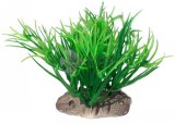 Szerteágazó, színátmenetes, zöld tengerifű akvárium dekoráció 10 cm