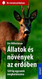 Sziget Könyvkiadó Ute Wilhelmsen: Állatok és növények az erdőben - könyv