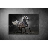 Szürke Ló Vászonkép 025 áv-025