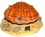 Szer-Ber Barna kagyló levegőporlasztós akvárium dekoráció