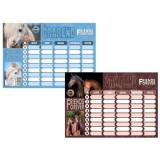 T-CREATIV Nagy méretű, kétoldalas órarend lovas mintával