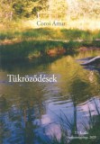 T3 Kiadó Coroi Artur: Tükröződések - könyv