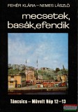 Táncsics Kiadó Fehér Klára, Nemes László - Mecsetek, basák, efendik