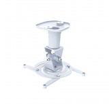 Techly ICA-PM 100WH projektor konzol Plafon Fehér (ICA-PM-100WH)