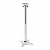 Techly ICA-PM 104MW projektor konzol Plafon Fehér (ICA-PM-104MW)