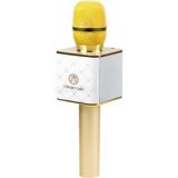 Technaxx MUSICMAN KARAOKE BT-X31GOLD GRAY KARAOKE BT-X31 GOLD-WHITE (4685)