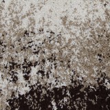 Tempo Szőnyeg, krém/barna, 100x150, LYNTON