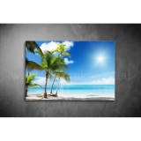 Tenger, Pálma Vászonkép 010 sea-010