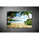 Tenger, Pálmák Vászonkép 028 sea-028