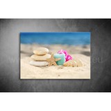 Tengeri Csillag Vászonkép 044 sfs-044