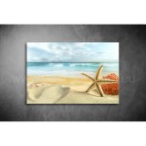 Tengeri Csillag Vászonkép 046 sea-046