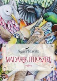 Tericum Kiadó Agnes Ravatn: Madarak ítélőszéke - könyv
