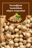 Termeljünk hazánkban olajos magvakat