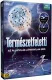 Természetfeletti: Az állatvilág láthatatlan erői díszdoboz - 2 DVD