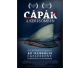 Természetfilmhu Természetfilm.hu Cápák a keresőmben