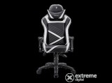 Tesoro Zone Speed Gamer szék, fehér (F700_WHITE)