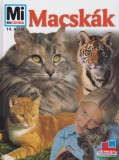Tessloff és Babilon Kiadó Rainer Köthe - Macskák