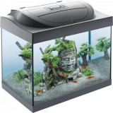 Tetra Starter Line 30 Led komplett felszerelt akvárium 30liter 41x30x25cm (267534)