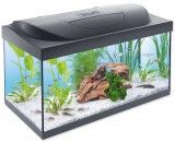 Tetra Starter Line 60 LED Komplett felszerelt akvárium 54l 60x30x30cm (305646)