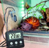 TFA Digitális terrárium hő- és páramérő 30.5044.01 Terracheck