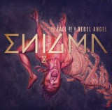 The Fall Of A Rebel Angel - CD