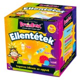 The Green Board Game Brainbox - Ellentétek