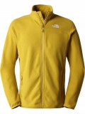 The North Face M 100 Glacier Full Zip - Eu