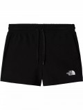 The North Face W Logowear Short