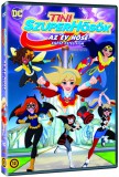 Tini szuperhősök - Az év hőse - DVD