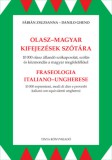 TINTA KÖNYVKIADÓ KFT Danilo Gheno, Fábián: Olasz-magyar kifejezések szótára - könyv