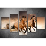 Többrészes Barna Lovak vászonkép 054 - (választható formák) táv-054