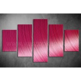 Többrészes Ciklámen vászonkép 026 - (választható formák) tav-026